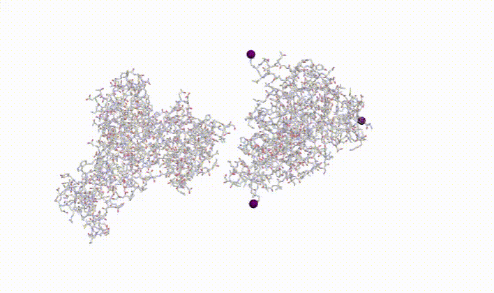 A protein with its three most distanced atoms highlighted.
